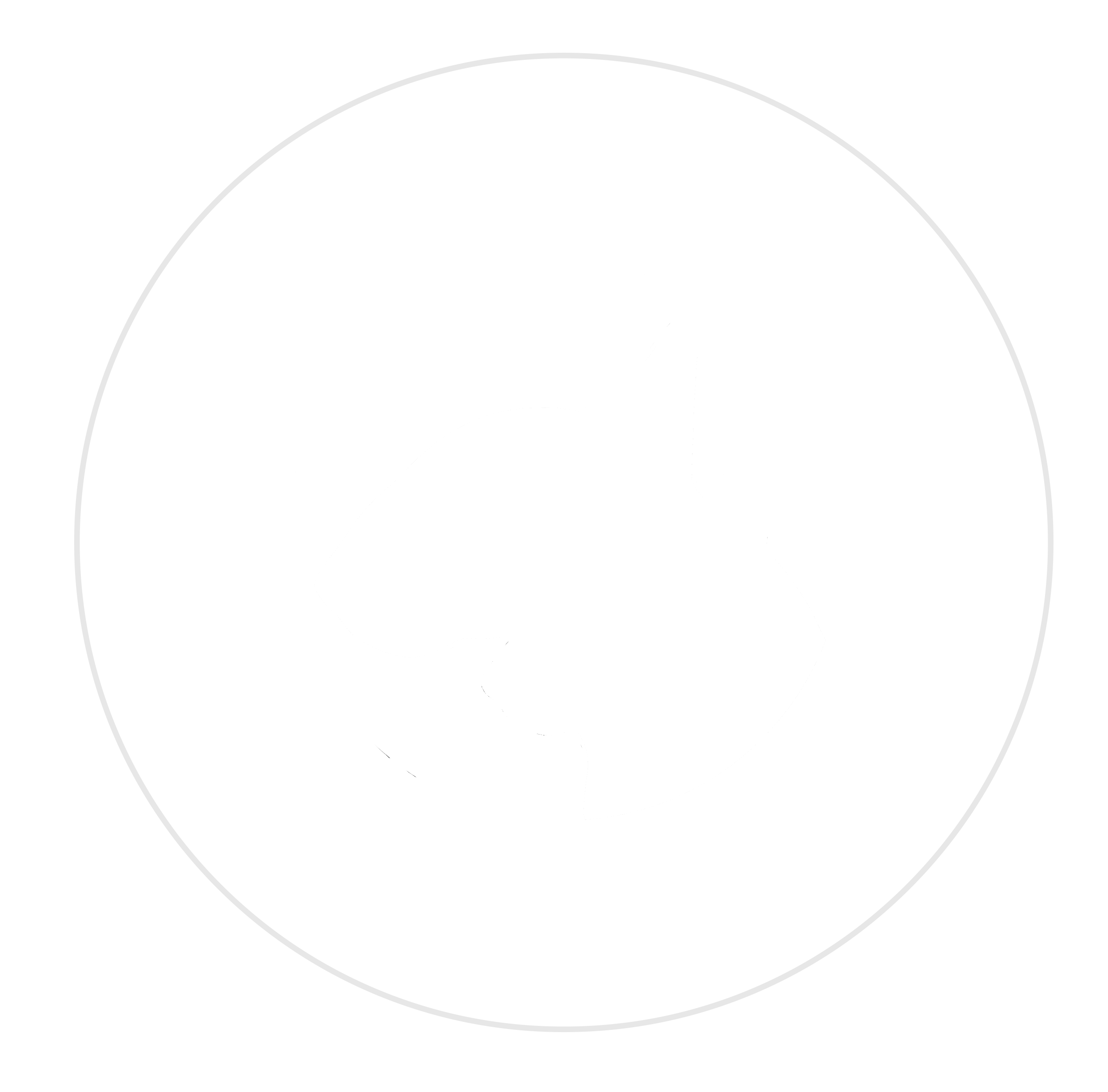 Nationale Bull Terriër Dag
